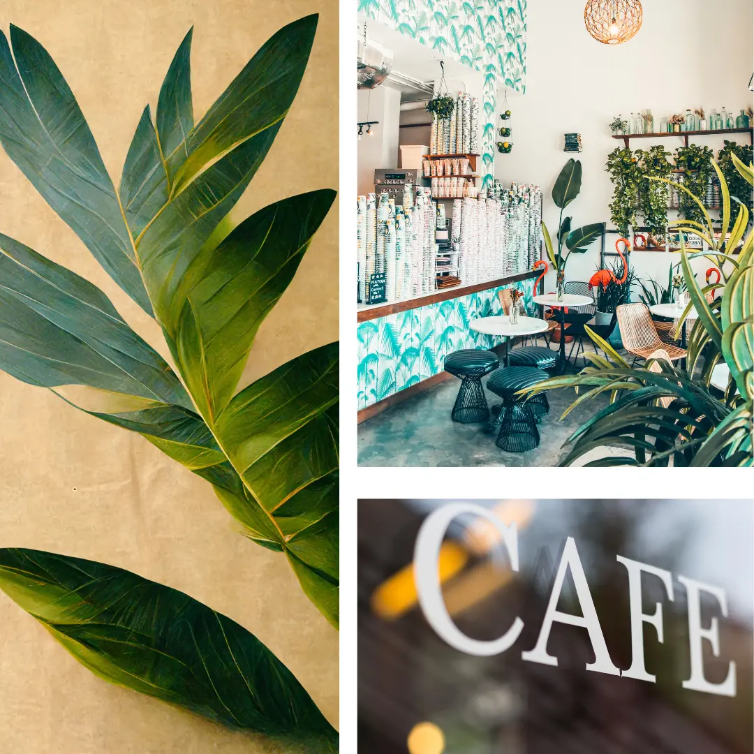 แต่งร้านกาแฟสวย ๆ ด้วยวอลเปเปอร์แต่งคาเฟ่ลายไม้ธรรมชาติ เพิ่มเสน่ห์ด้วยภาพแต่งห้องคาเฟ่โทนสว่างโปร่งโล่ง