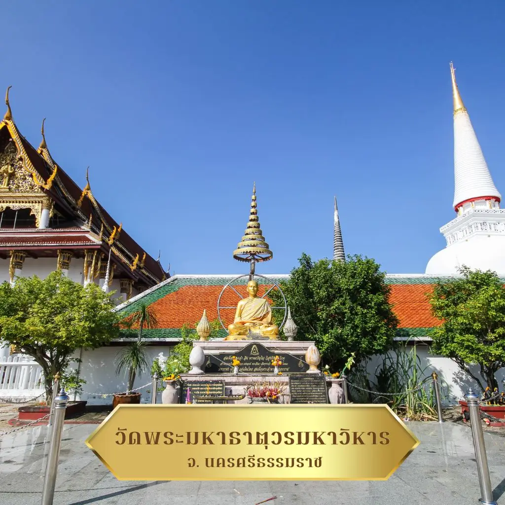 วัดพระมหาธาตุวรมหาวิหาร นครศรีธรรมราช วันมาฆบูชา งานแห่ผ้าขึ้นธาตุและเวียนเทียนสุดอลังการของภาคใต้