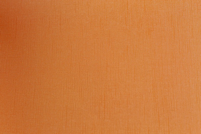WP8681-3