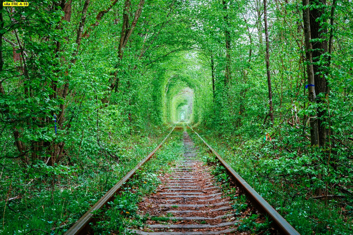 วอลเปเปอร์สั่งพิมพ์ตามขนาดอุโมงค์แห่งรักรถไฟ ภาพสั่งพิมพ์ทางรถไฟในป่าฤดูใบไม้ผลิ