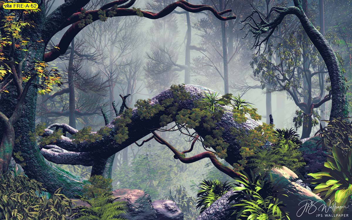 วอลเปเปอร์วิวป่าไม้ในเทพนิยาย วอลเปเปอร์ต้นไม้และธรรมชาติในป่า