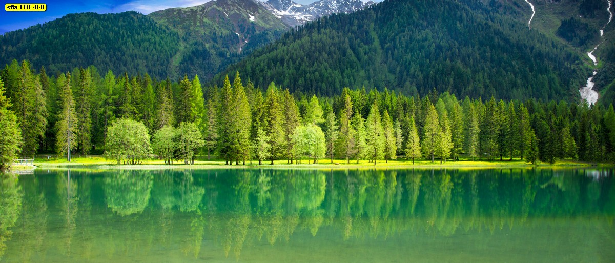 วอลเปเปอร์สำหรับพิมพ์ลายต้นไม้ใบเขียวและทะเลสาบพื้นหลังภูเขา