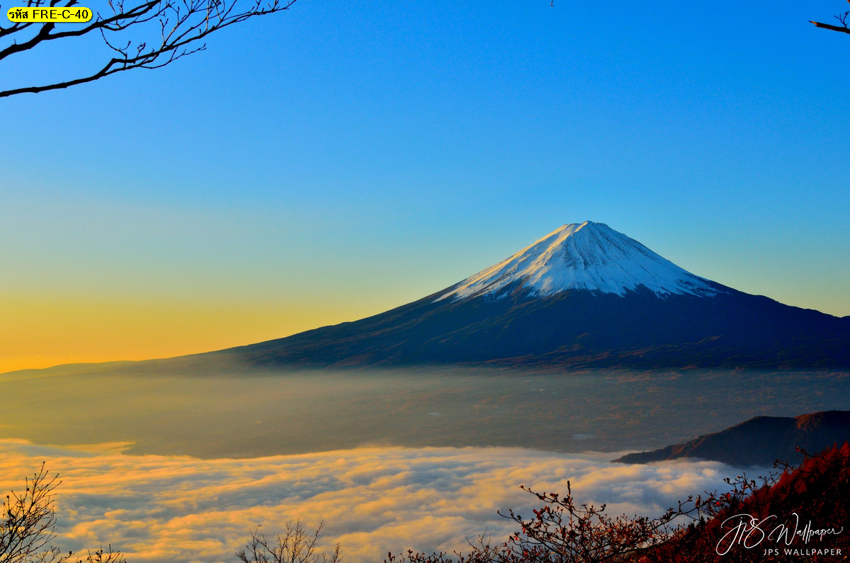 วอลเปเปอร์วิวภูเขาฟูจิและทะลหมอกสีขาวสวย วิวธรรมชาติประเทศญี่ปุ่น