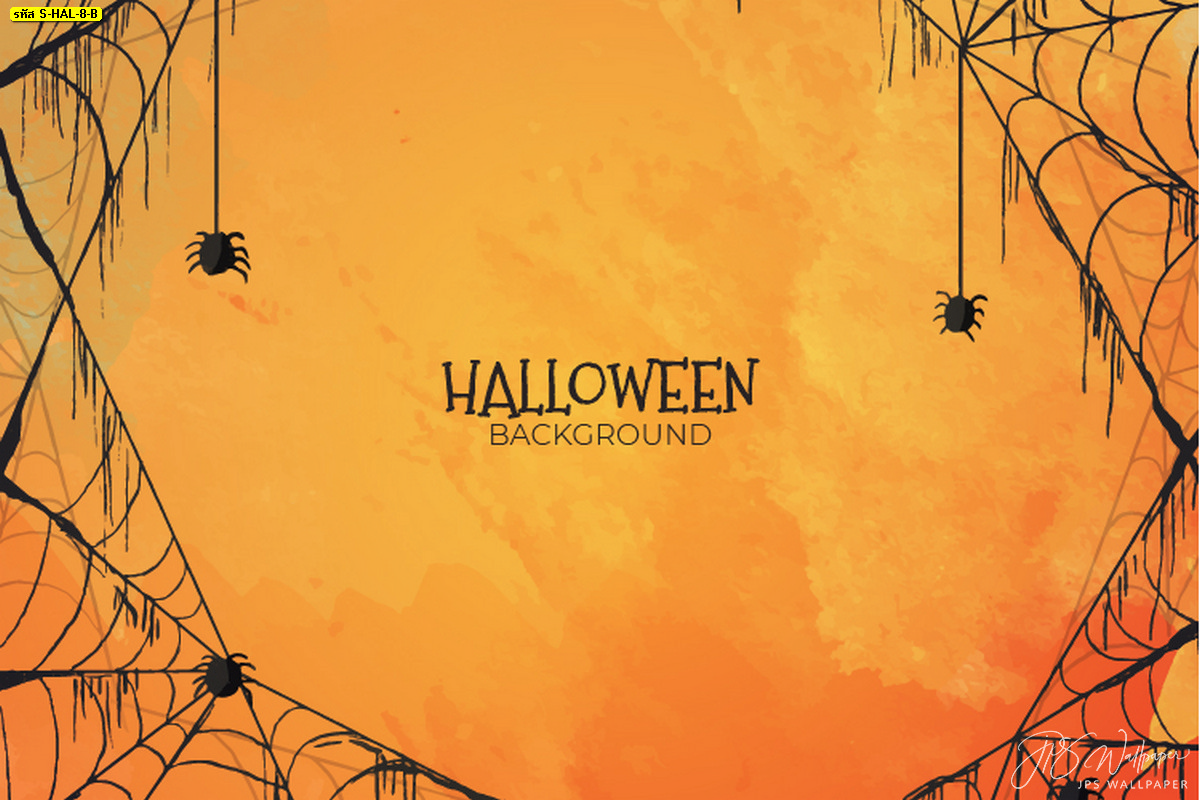 Halloween Background แต่งฉากหลังห้องวันฮาโลวีน ใยแมงมุมพื้นหลังสีส้ม