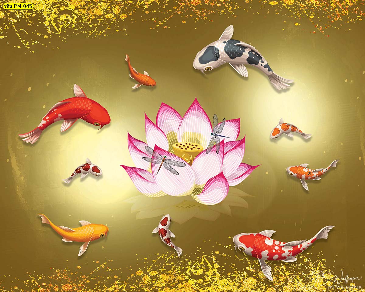วอลเปเปอร์ปลาคาร์ฟเก้าตัวกับดอกบัวกลางสระแต่งขอบสีทอง พื้นหลังสีทอง ปลาคาร์ฟเสริมฮวงจุ้ย