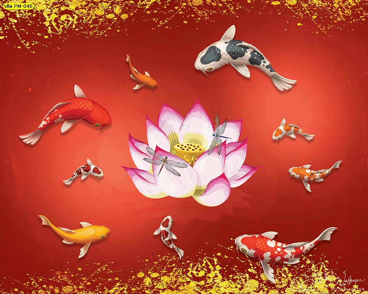 วอลเปเปอร์ปลาคาร์ฟเก้าตัวกับดอกบัวกลางสระแต่งขอบสีทอง พื้นหลังสีแดง ปลาคาร์ฟเสริมฮวงจุ้ย