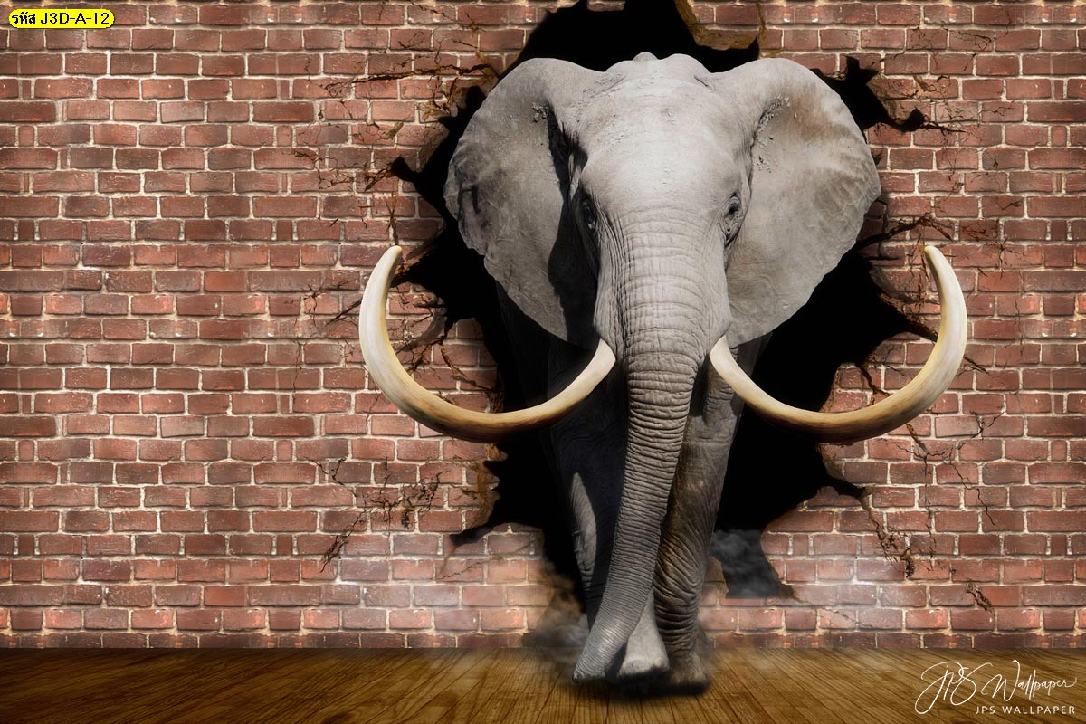 3D wallpaper วอลเปเปอร์สามมิติลายช้างกำแพงน้ำตาล