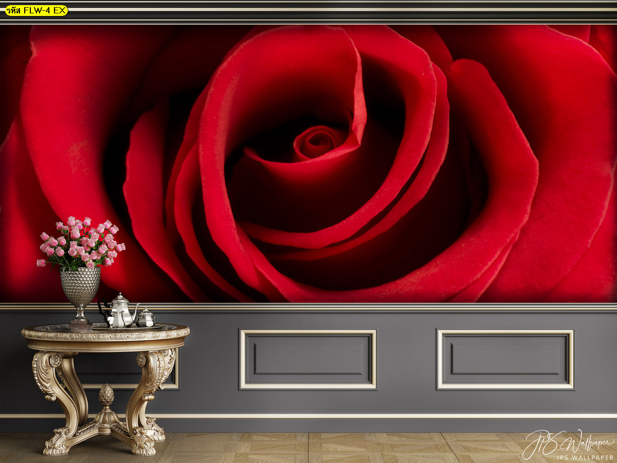 วอลเปเปอร์สั่งปริ้นภาพถ่ายดอกไม้ ดอกกุหลาบสีแดง มุมถ่ายรูปสวยๆ