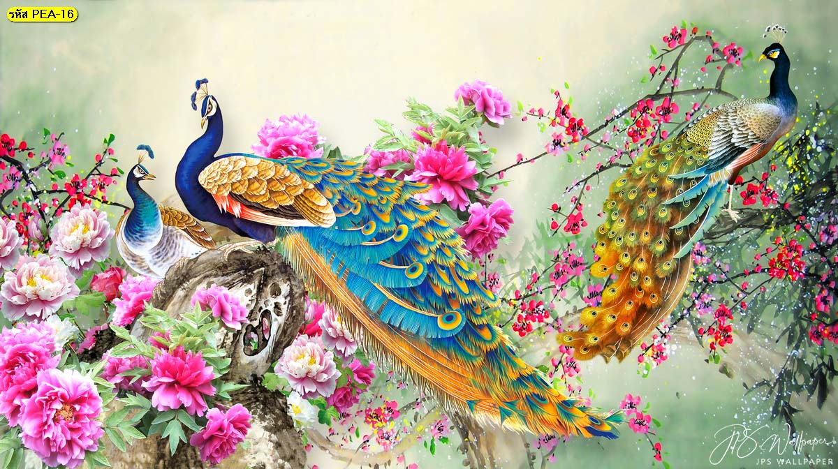พิมพ์ภาพนกยูงติดผนัง นกยูงเกาะกิ่งดอกไม้สวยๆ นกยูงงามสง่า นกยูงวาดสีน้ำ