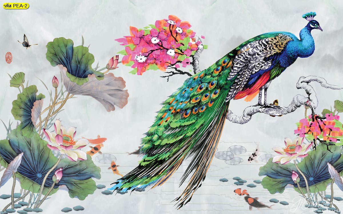 วอลเปเปอร์นกยูงติดผนัง ภาพนกยูงบนกิ่งดอกไม้ชมพู นกยูงกับบ่อบัว นกยูงจีน