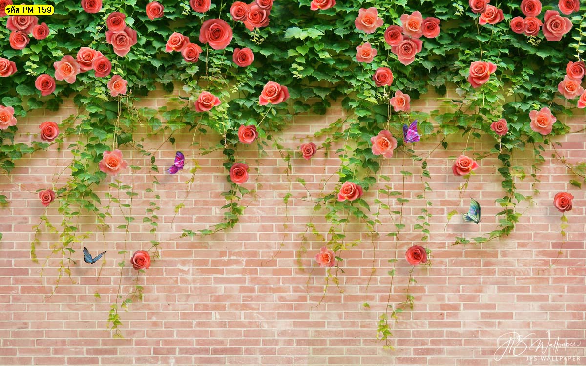 วอลเปเปอร์ลายดอกกุหลาบบนกำแพงอิฐ สั่งทำวอลเปเปอร์ลายอิฐ