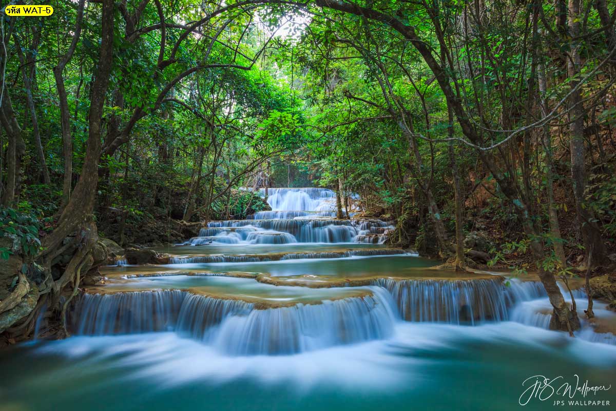 วอลเปเปอร์น้ำตกในป่าลึก ภาพลายน้ำตกธรรมชาติแต่งบ้าน ภาพวิวแต่งบ้าน