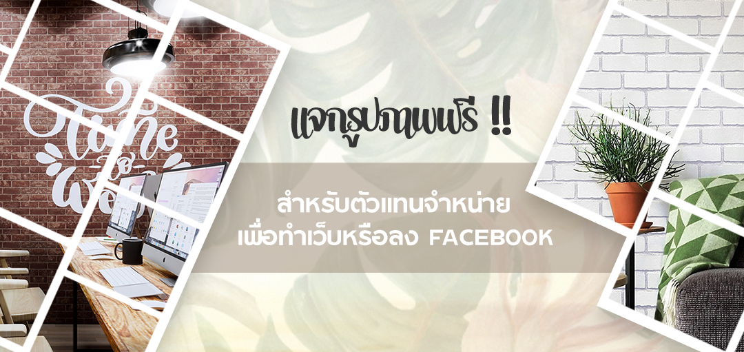 แจกรูปภาพฟรี