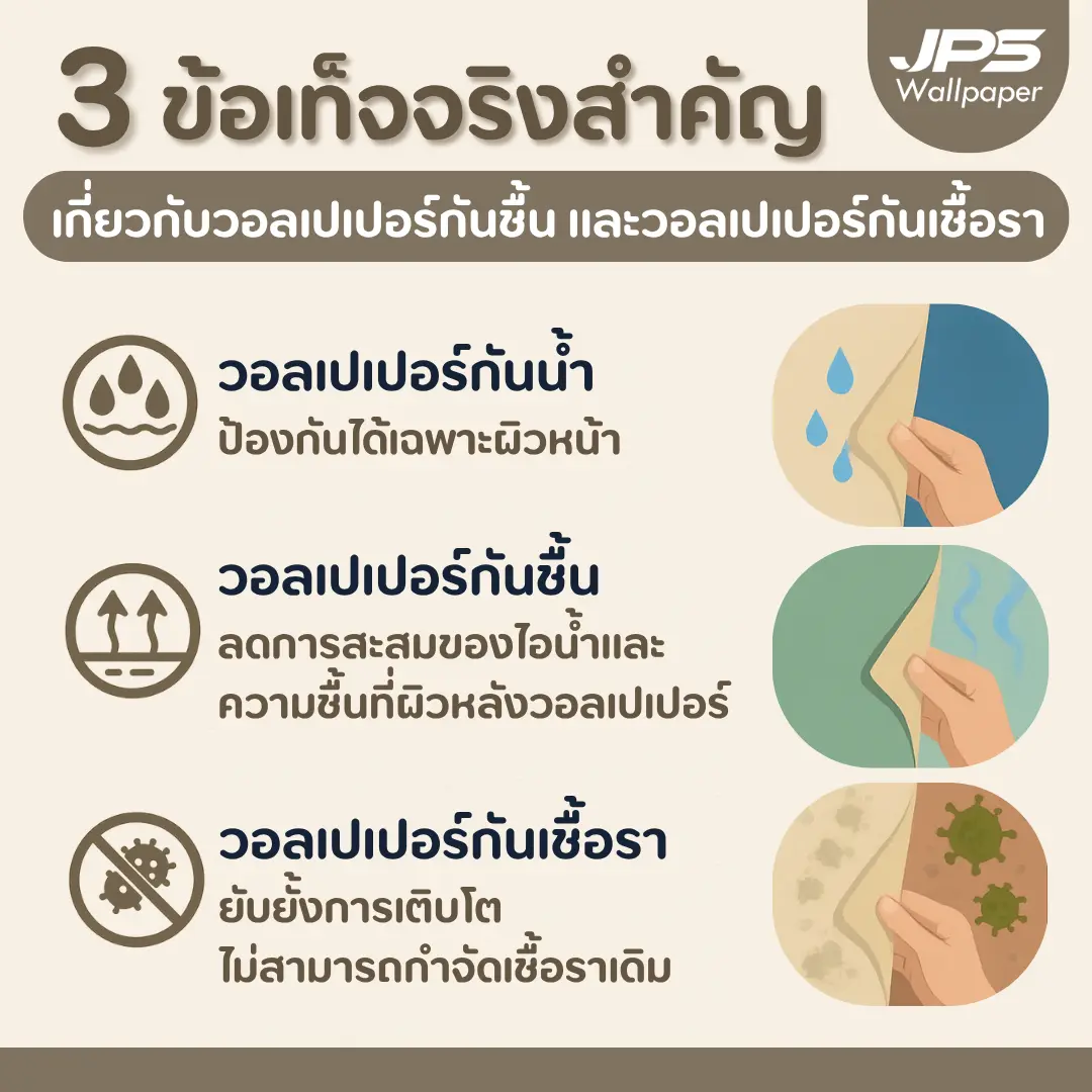 3 ข้อเท็จจริงสำคัญ เกี่ยวกับวอลเปเปอร์กันชื้น และวอลเปเปอร์กันเชื้อรา