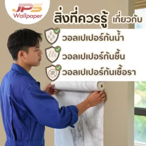 "วอลเปเปอร์กันเชื้อรา" มีจริงหรือ? เผยเคล็ดลับเลือกและติดตั้งให้ปลอดเชื้อรา