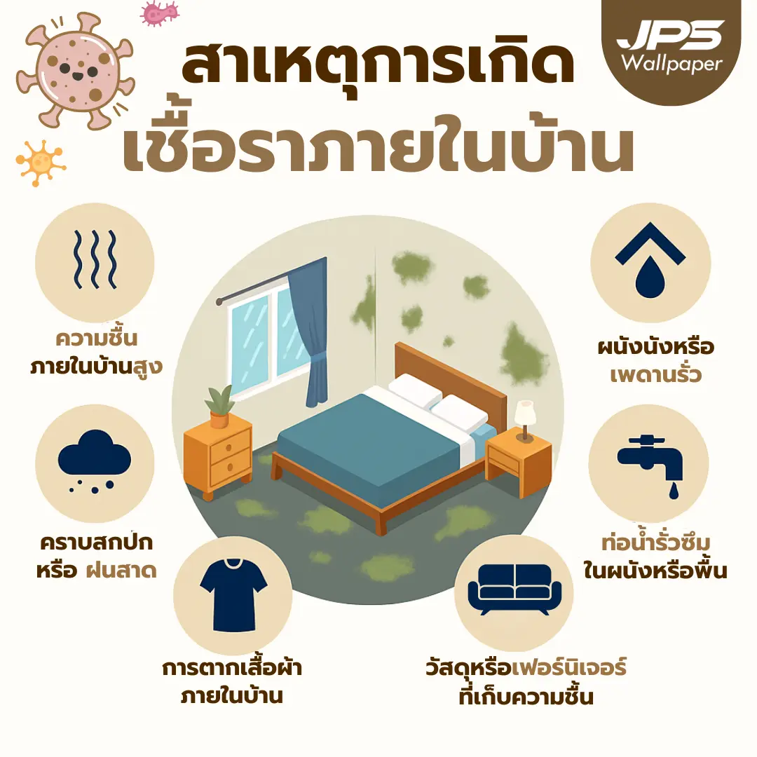 สาเหตุที่ทำให้เกิด เชื้อราขึ้นวอลเปเปอร์