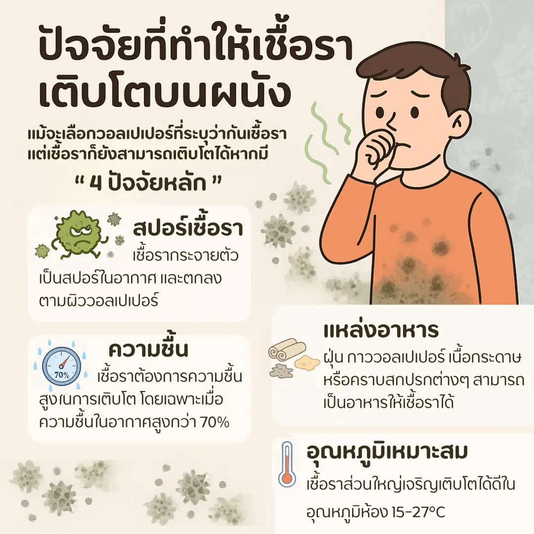 ปัจจัยที่ทำให้เชื้อราเติบโตบนผนัง แม้จะเลือกวอลเปเปอร์ที่ระบุว่ากันเชื้อรา