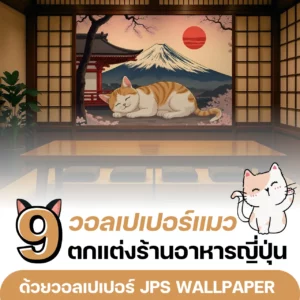 9 วอลเปเปอร์แมว ตกแต่งร้านอาหารญี่ปุ่น