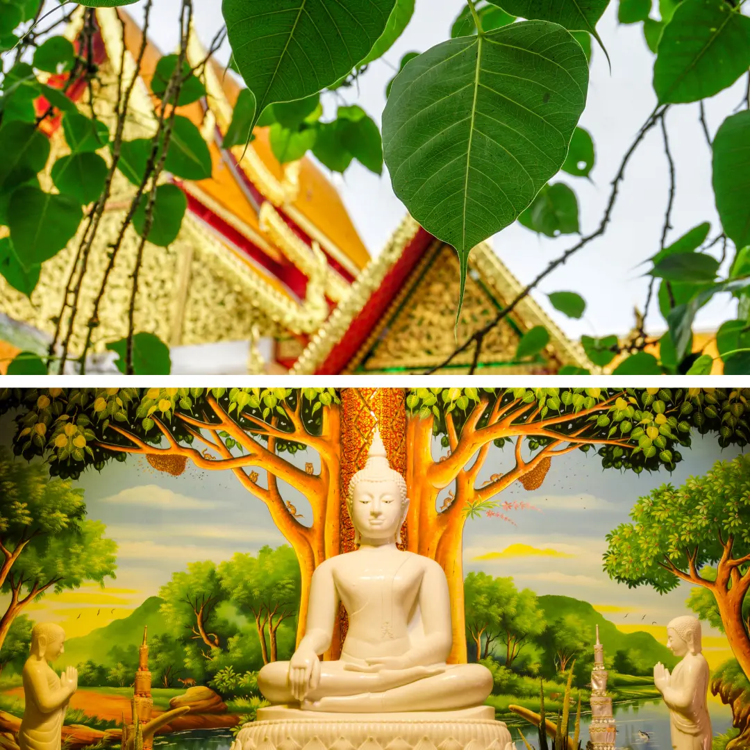 รูปประกอบบทความ